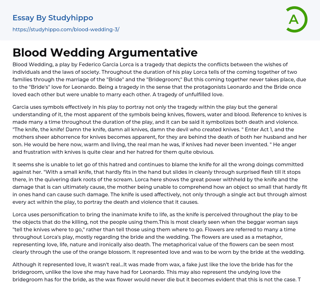 Blood Wedding Argumentative Essay Example