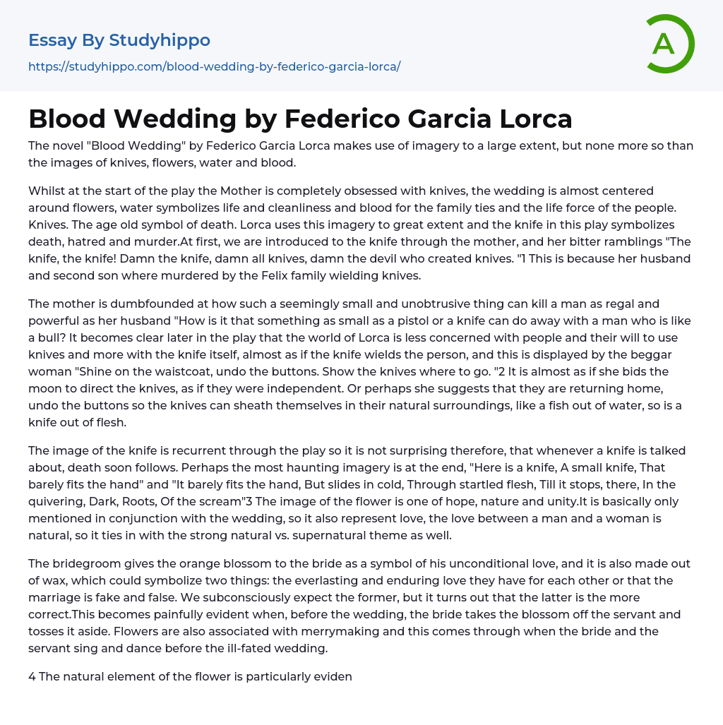 Blood Wedding by Federico Garcia Lorca Essay Example