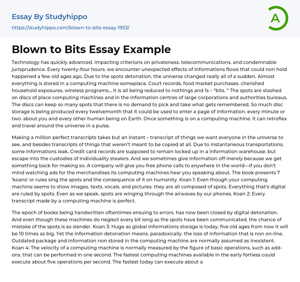 Blown to Bits Essay Example