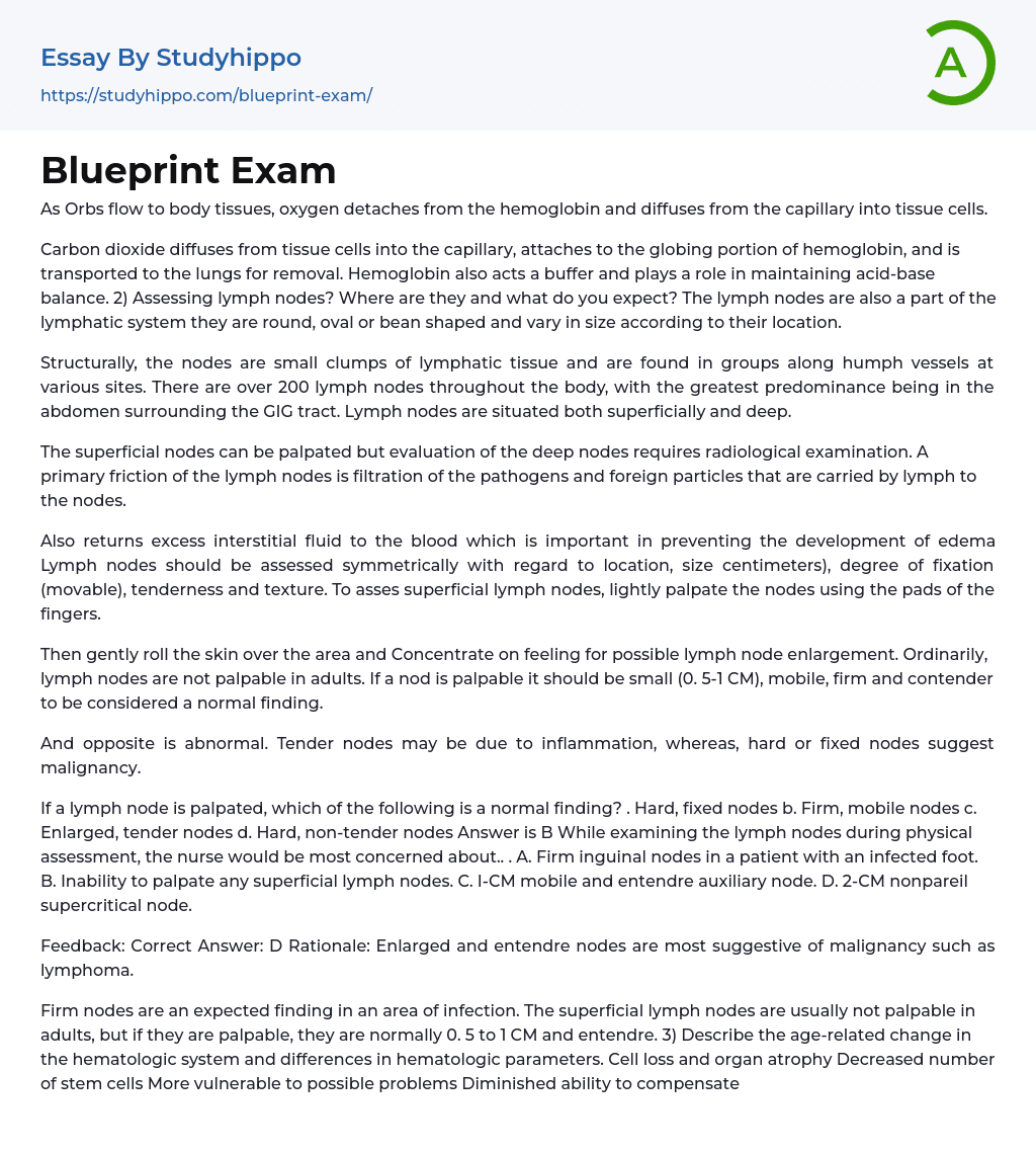 Blueprint Exam Essay Example