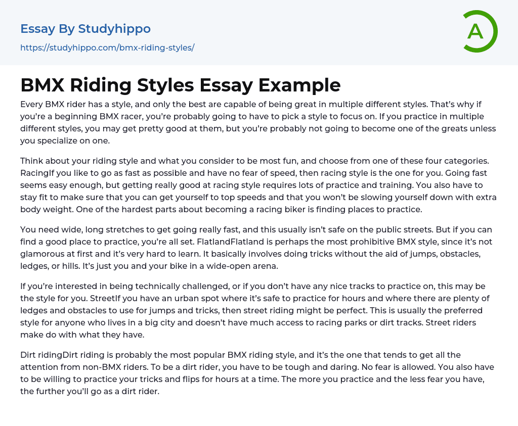 BMX Riding Styles Essay Example