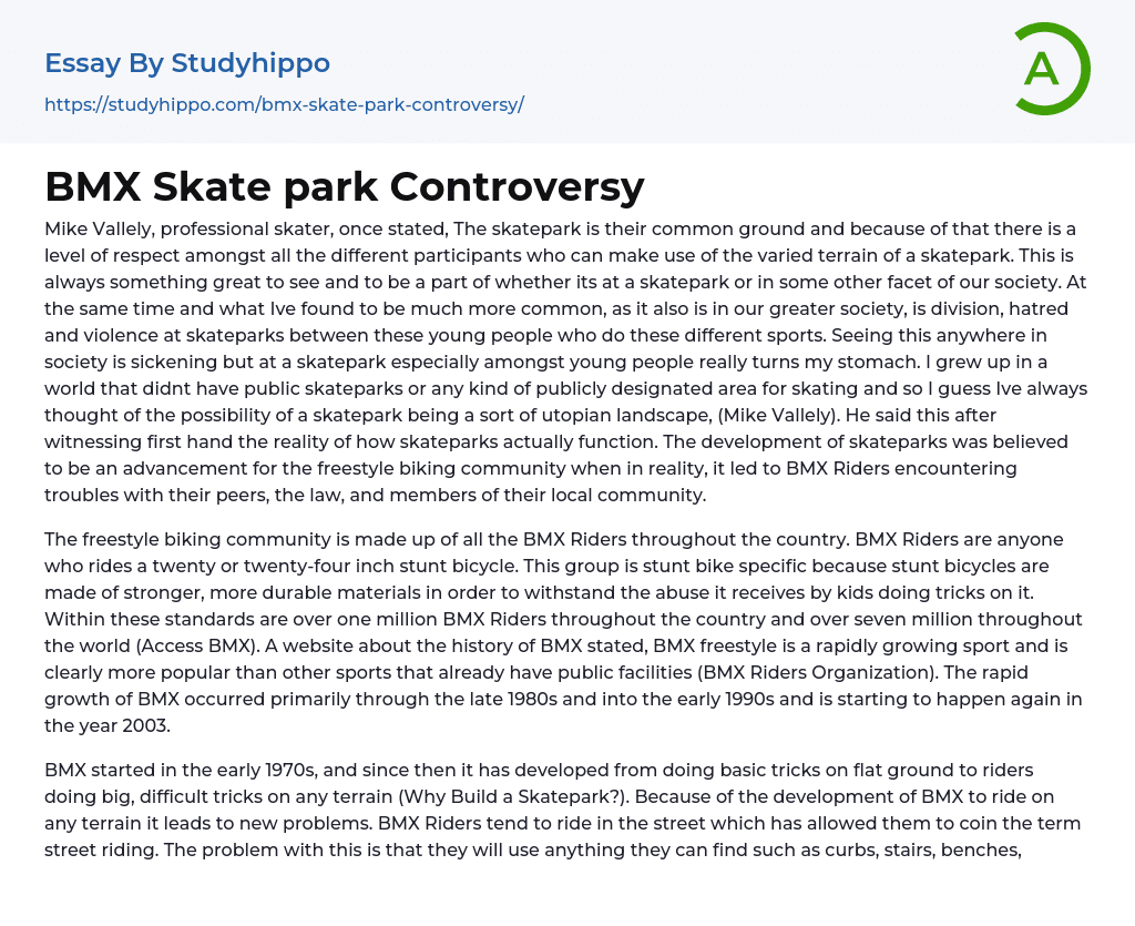 BMX Skate park Controversy Essay Example