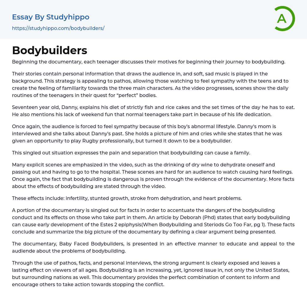 Bodybuilders Essay Example
