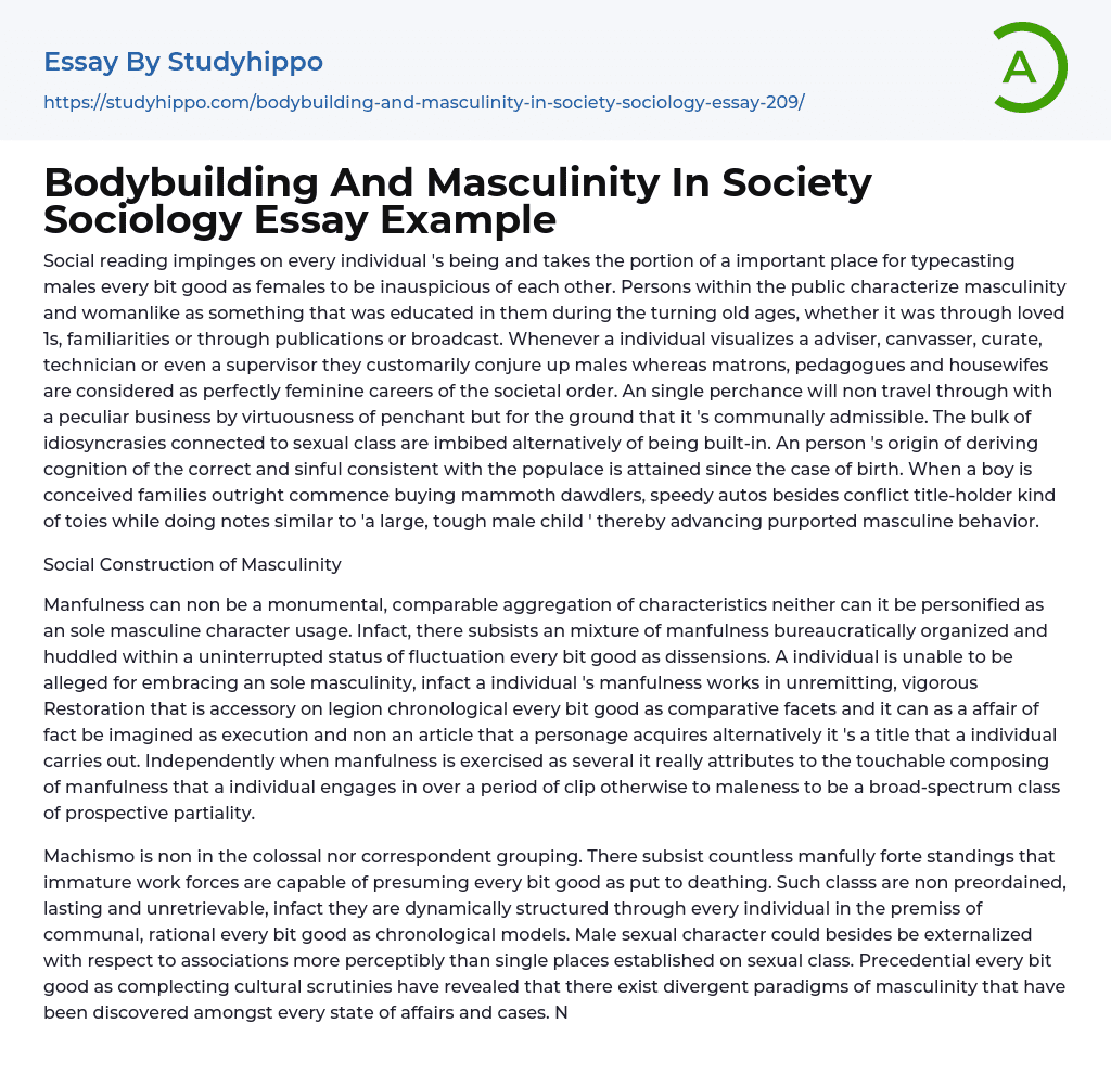 essay on masculinity in society