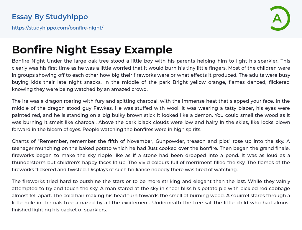 Bonfire Night Essay Example