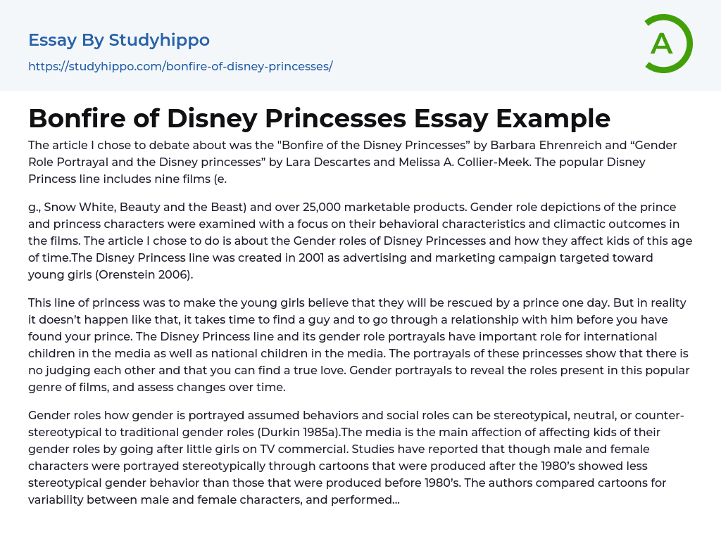 Bonfire of Disney Princesses Essay Example