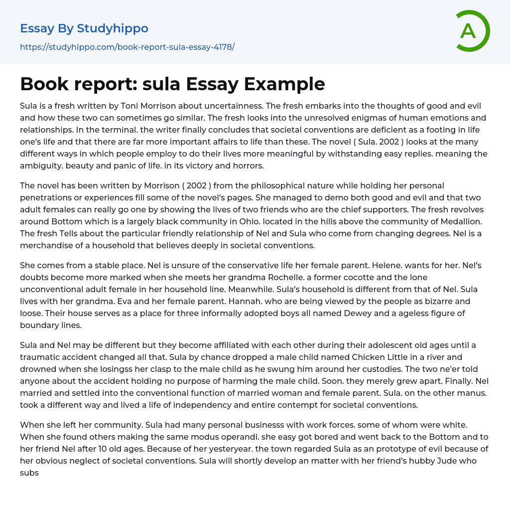 Book report: sula Essay Example