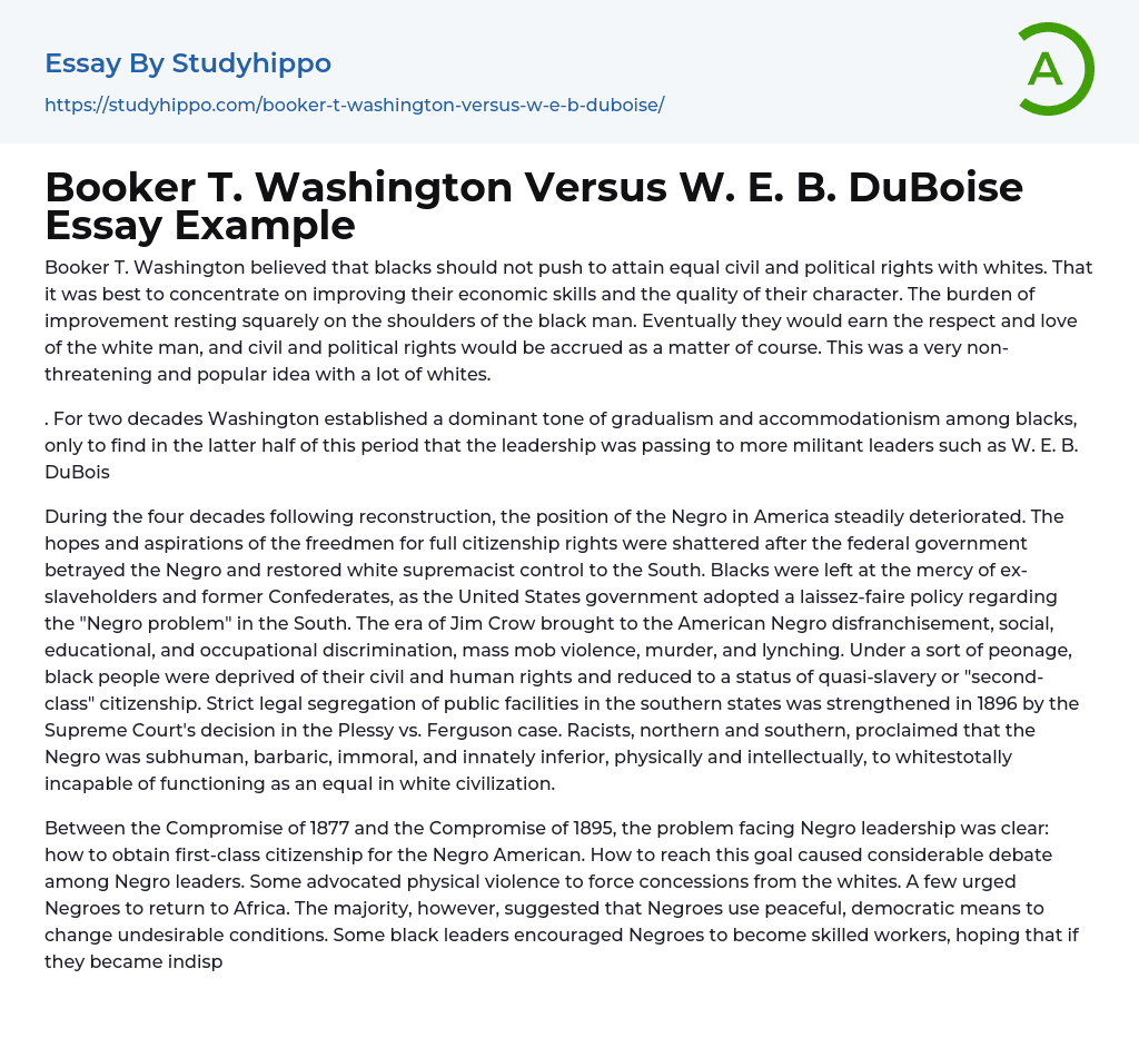 Booker T. Washington Versus W. E. B. DuBoise Essay Example