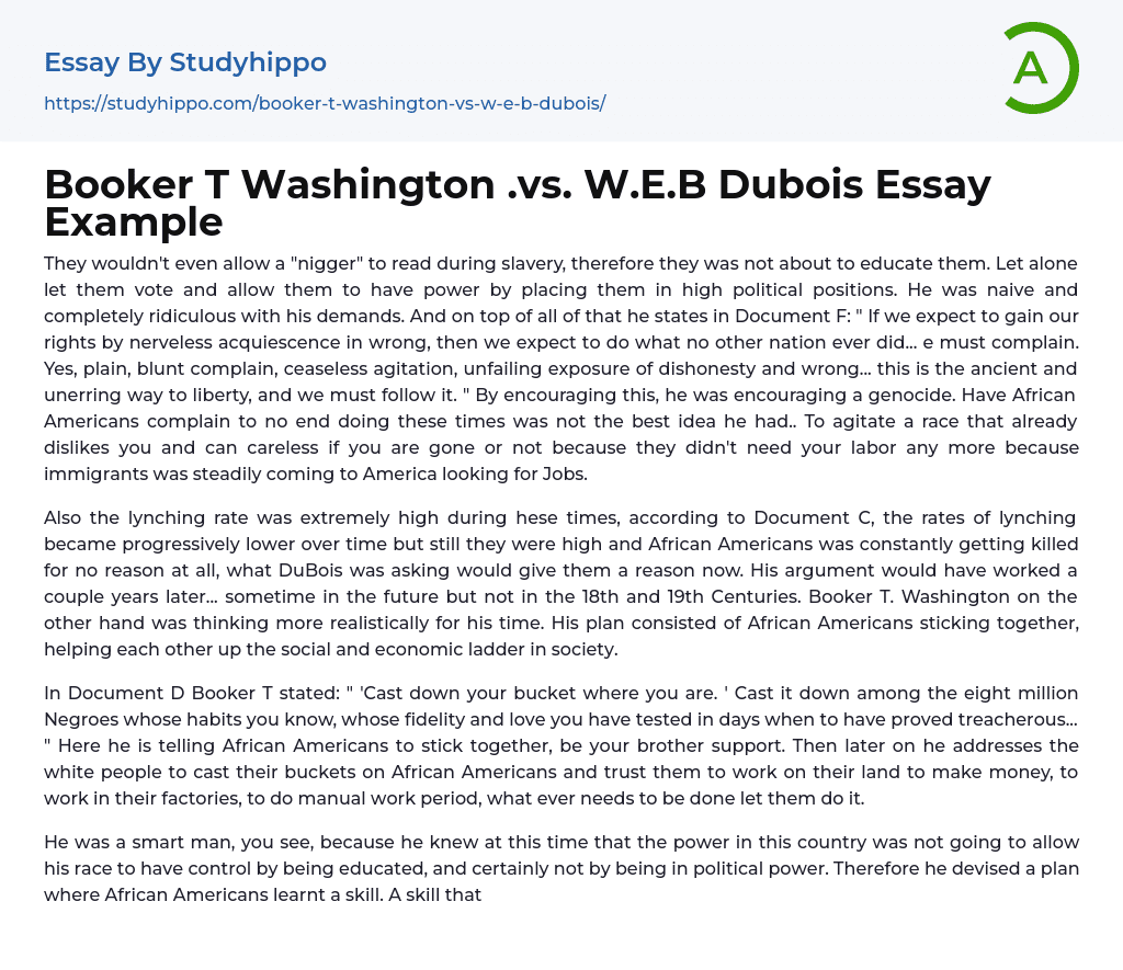 Booker T Washington .vs. W.E.B Dubois Essay Example