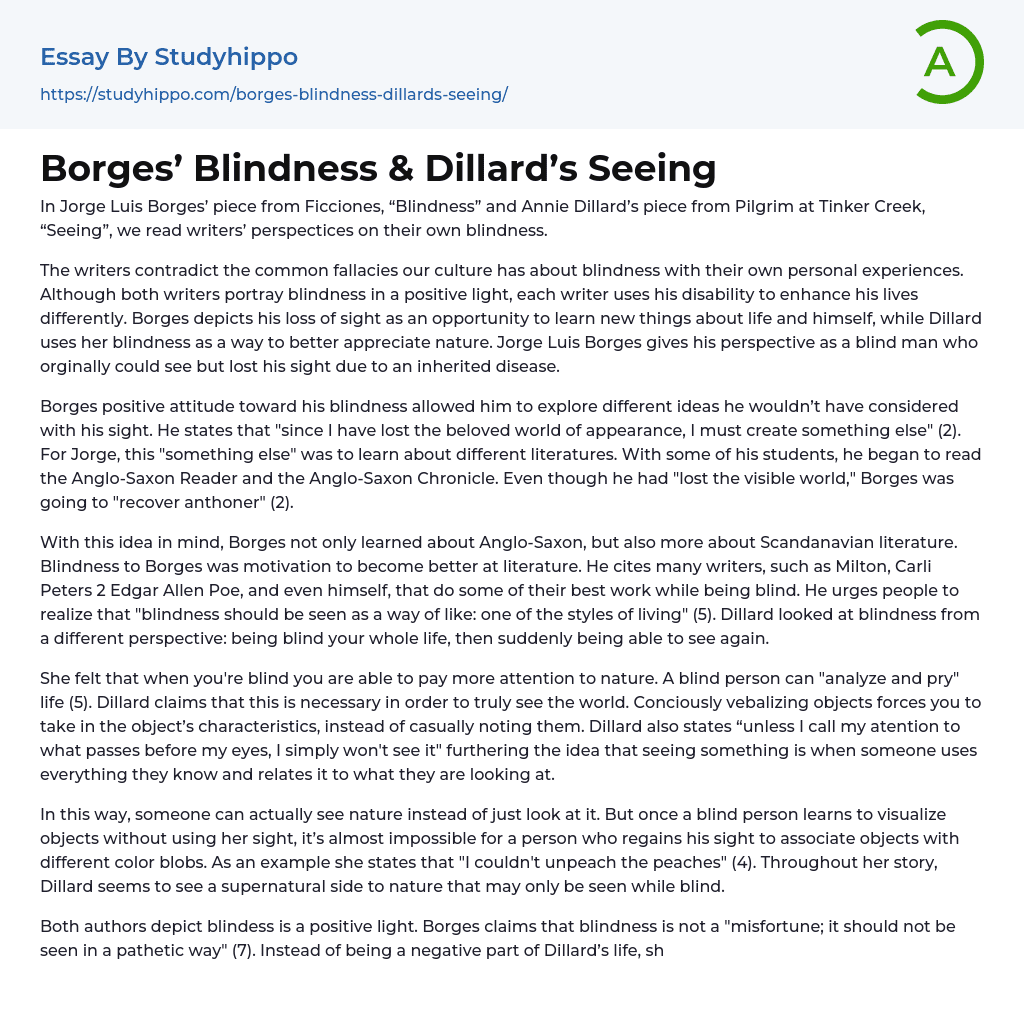 Borges’ Blindness & Dillard’s Seeing Essay Example