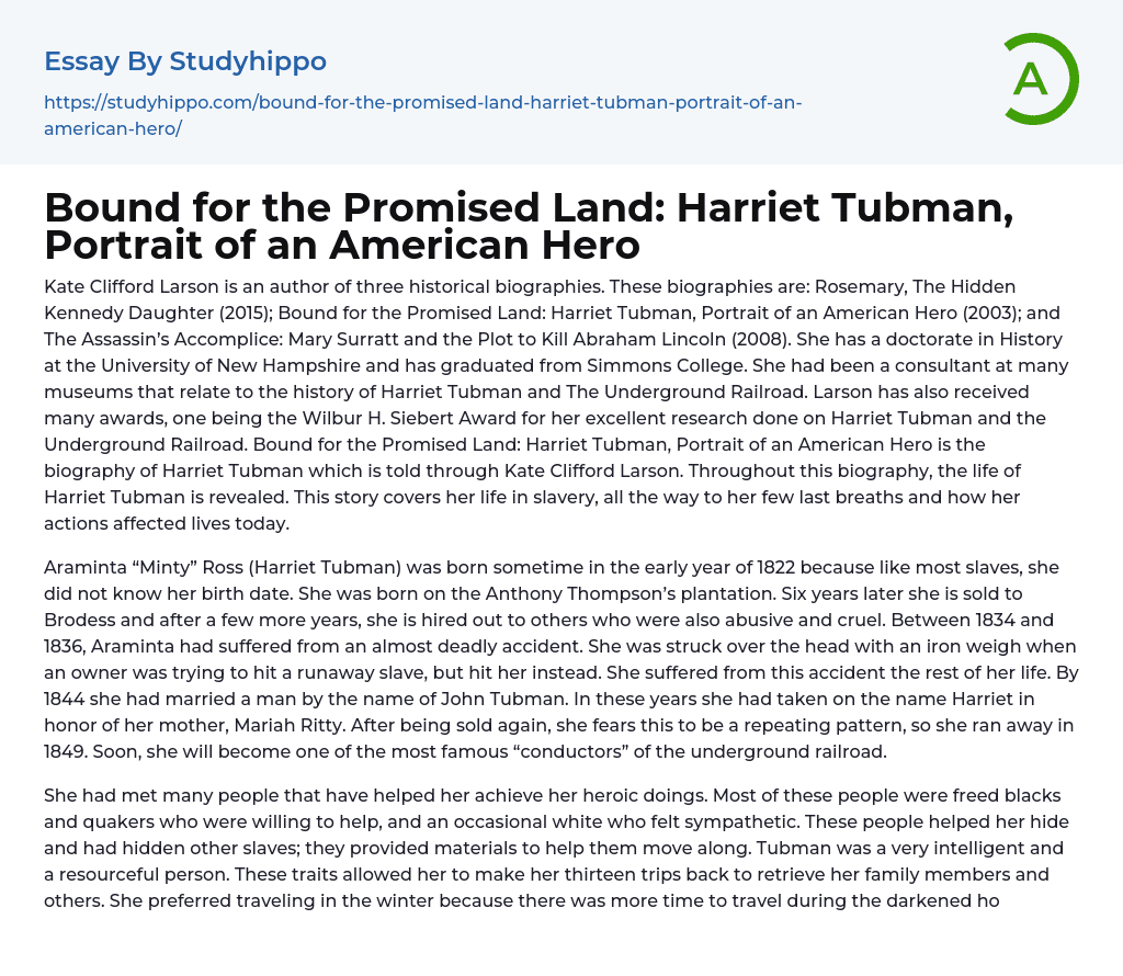 Bound for the Promised Land: Harriet Tubman, Portrait of an American Hero Essay Example