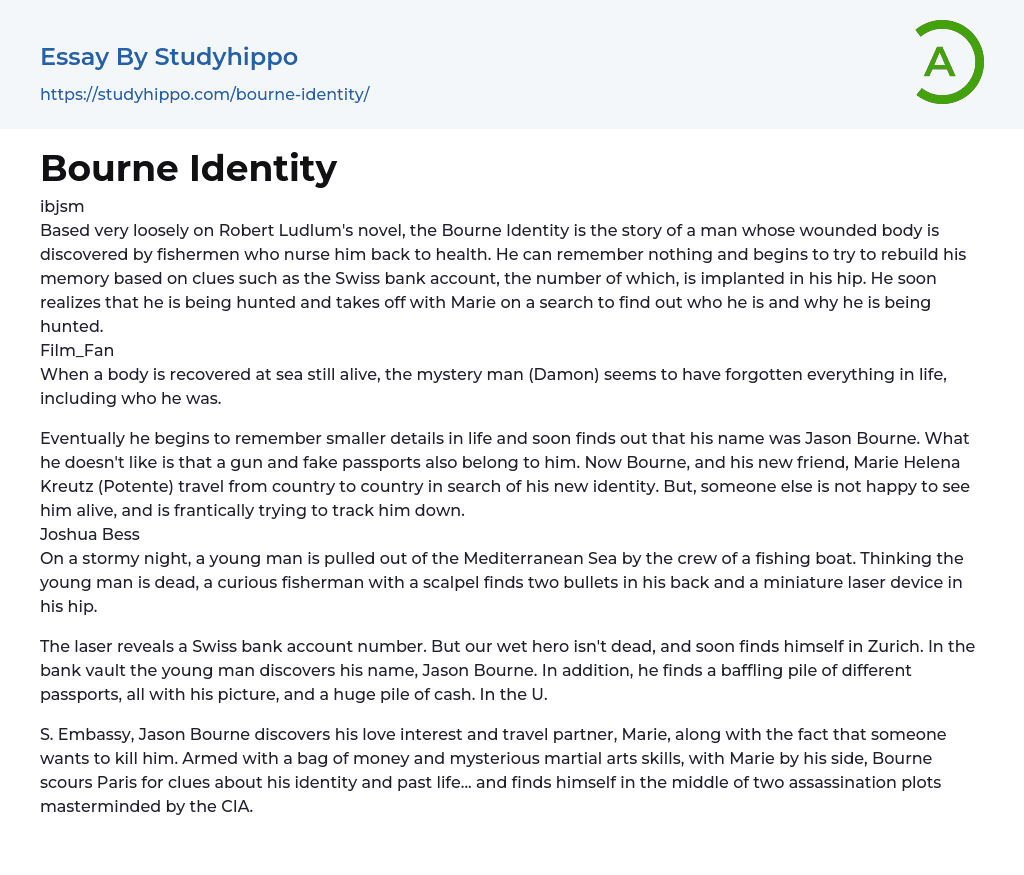 Bourne Identity Essay Example