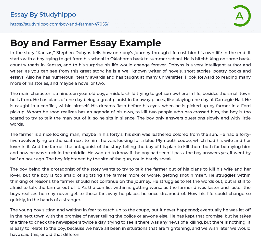 Boy and Farmer Essay Example
