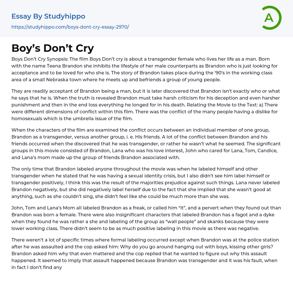 Boy’s Don’t Cry Essay Example