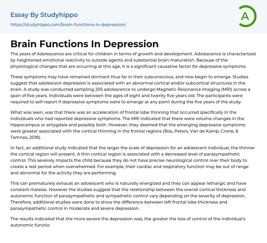 Brain Functions In Depression Essay Example