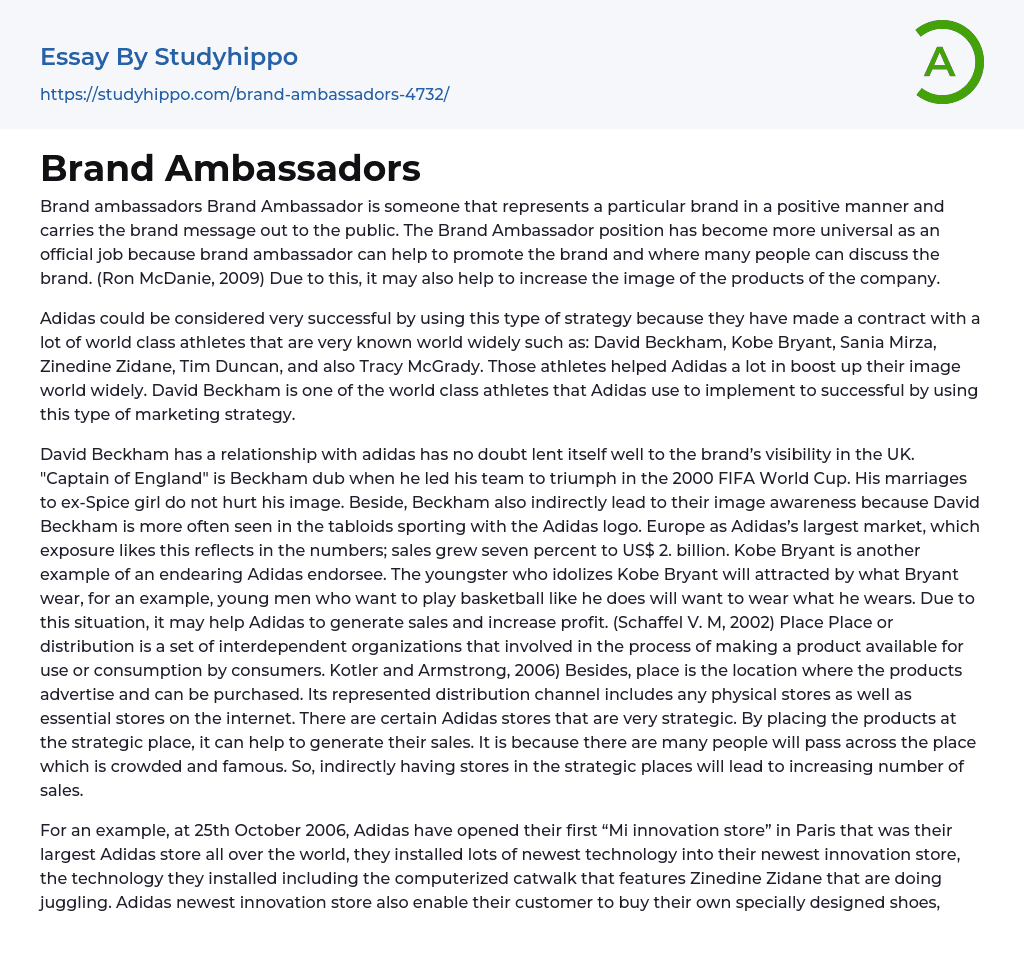 Brand Ambassadors Essay Example