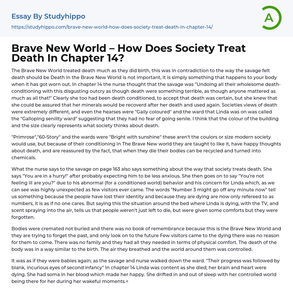 Brave New World – How Does Society Treat Death In Chapter 14? Essay Example