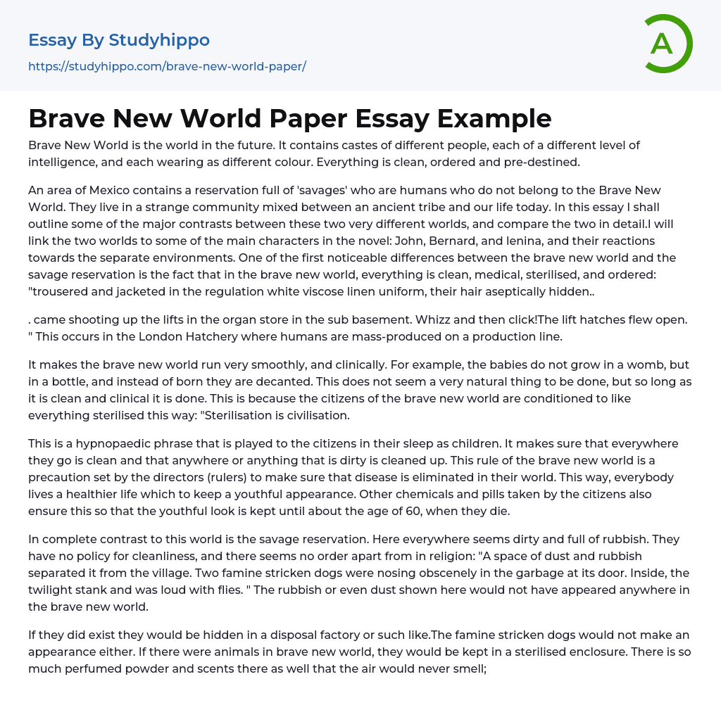 Brave New World Paper Essay Example