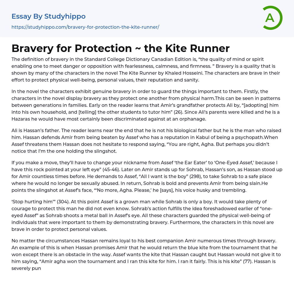 Bravery for Protection ~ the Kite Runner Essay Example