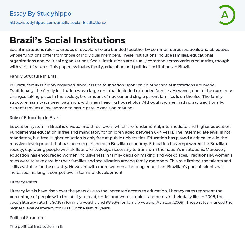 Brazil s Social Institutions Essay Example StudyHippo