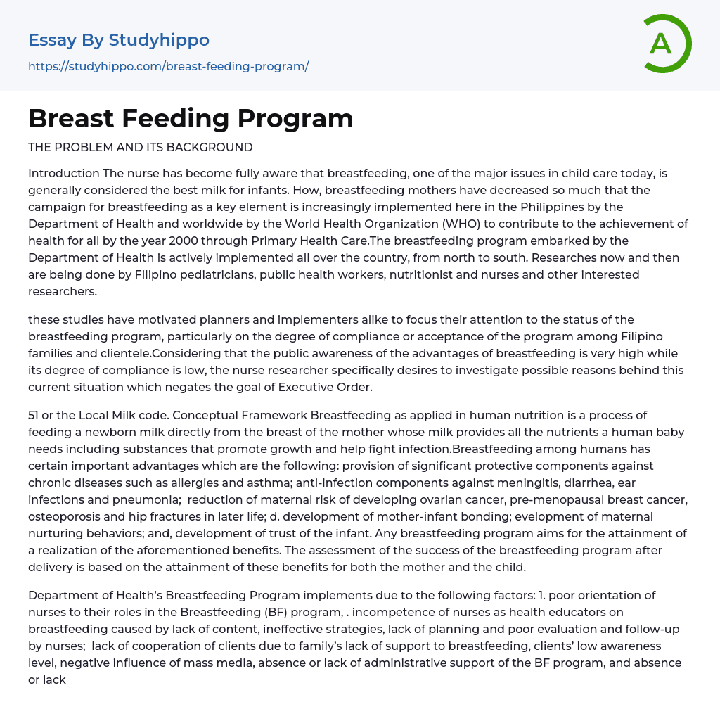 Breast Feeding Program Essay Example