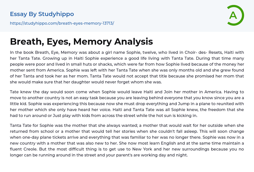 Breath, Eyes, Memory Analysis Essay Example