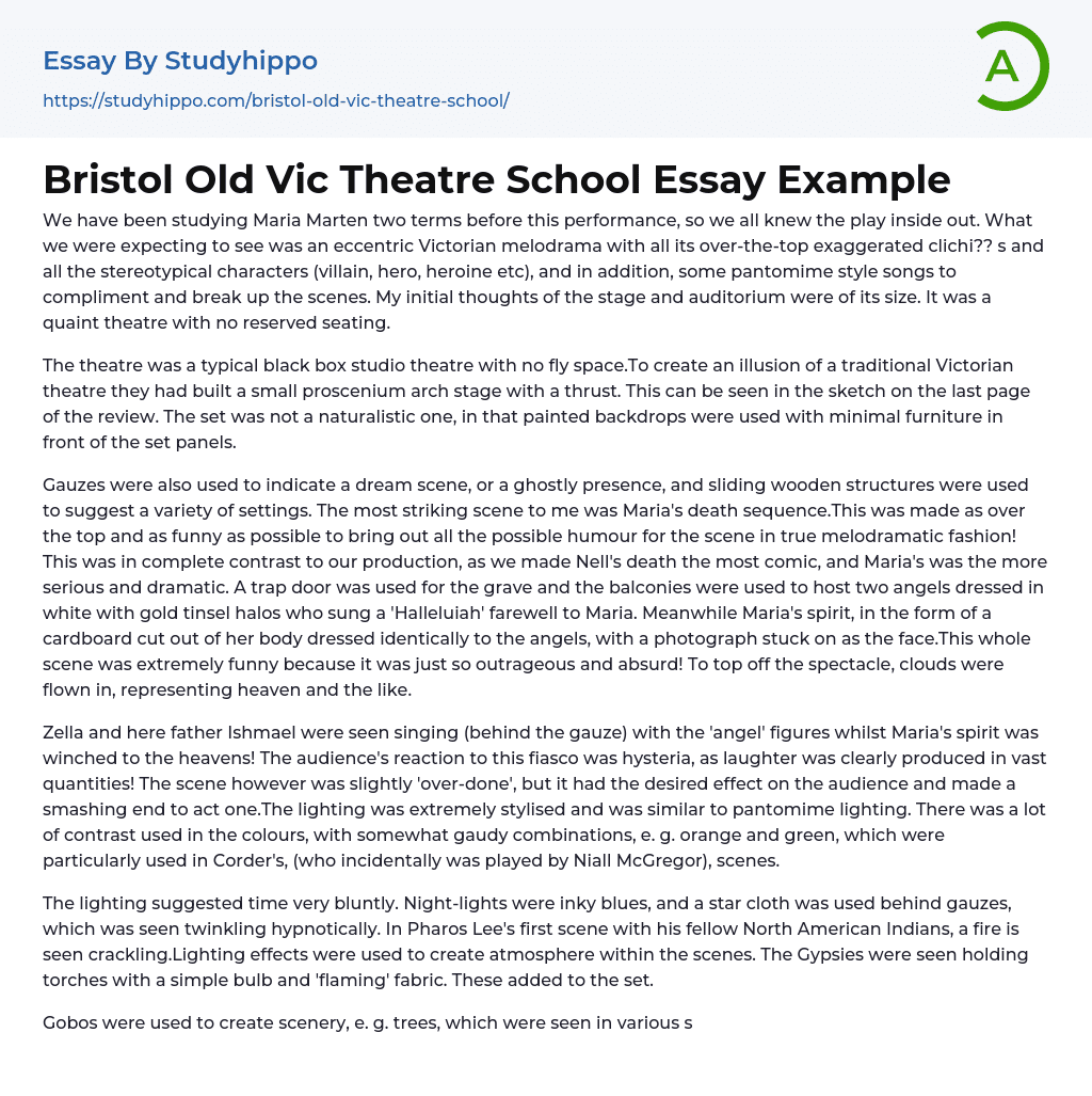 Bristol Old Vic Theatre School Essay Example