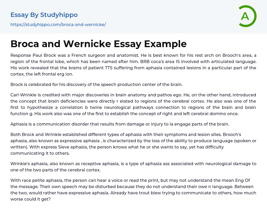 Broca and Wernicke Essay Example