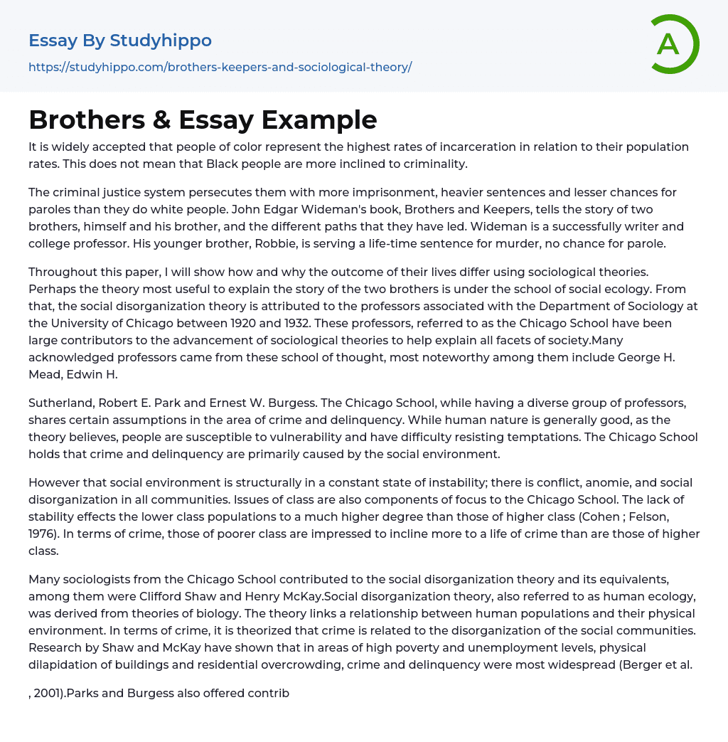 Brothers &amp Essay Example