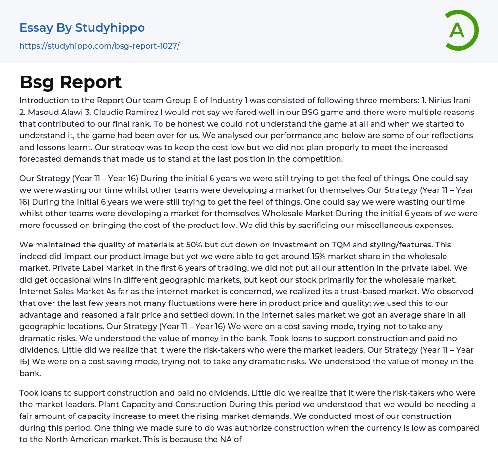 Bsg Report Essay Example