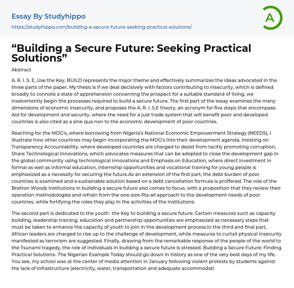 “Building a Secure Future: Seeking Practical Solutions” Essay Example