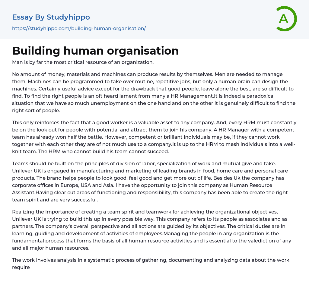Building human organisation Essay Example