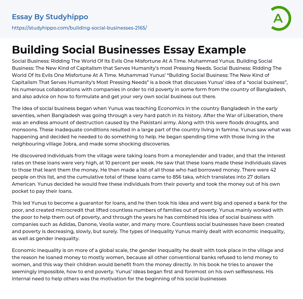 Building Social Businesses Essay Example