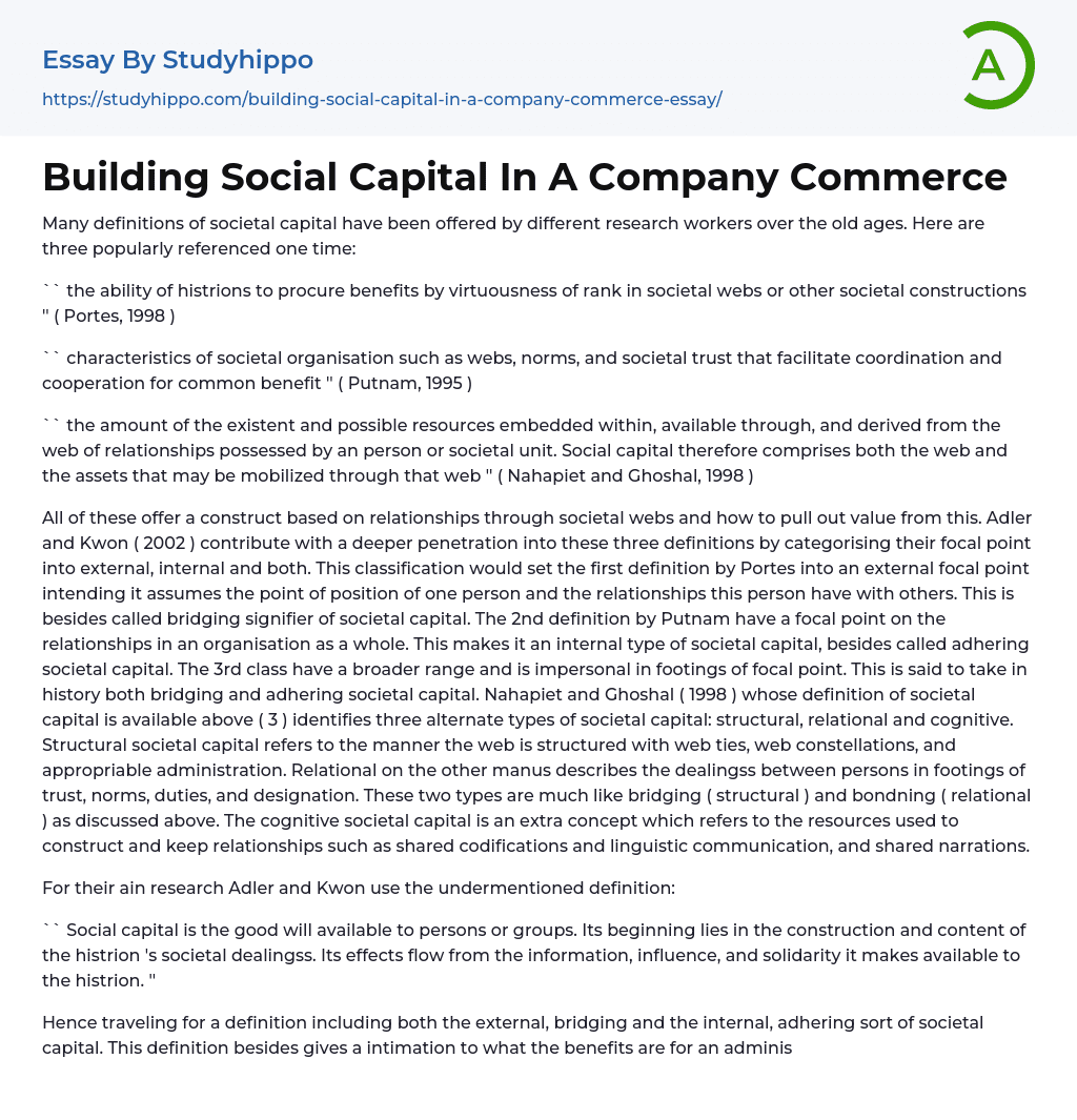 Building Social Capital In A Company Commerce Essay Example