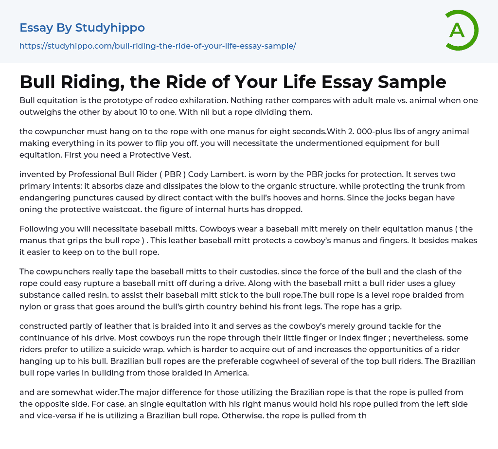 Bull Riding, the Ride of Your Life Essay Sample