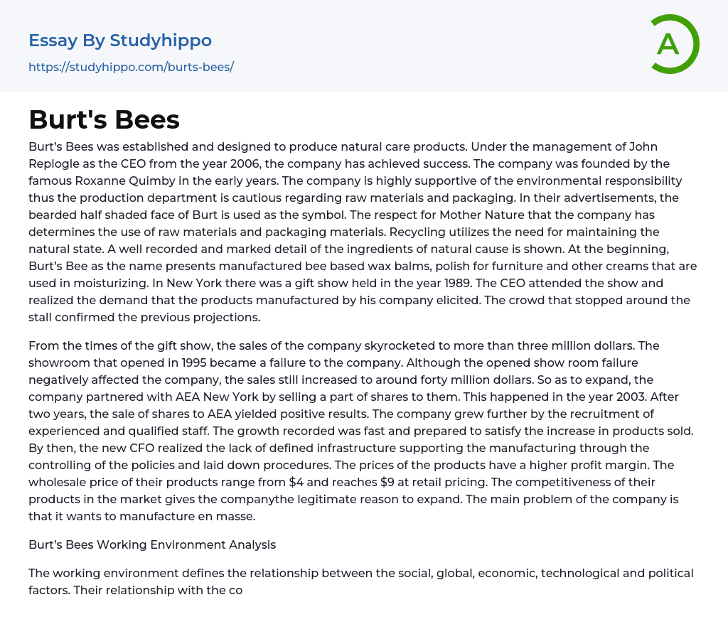 Burt’s Bees Essay Example