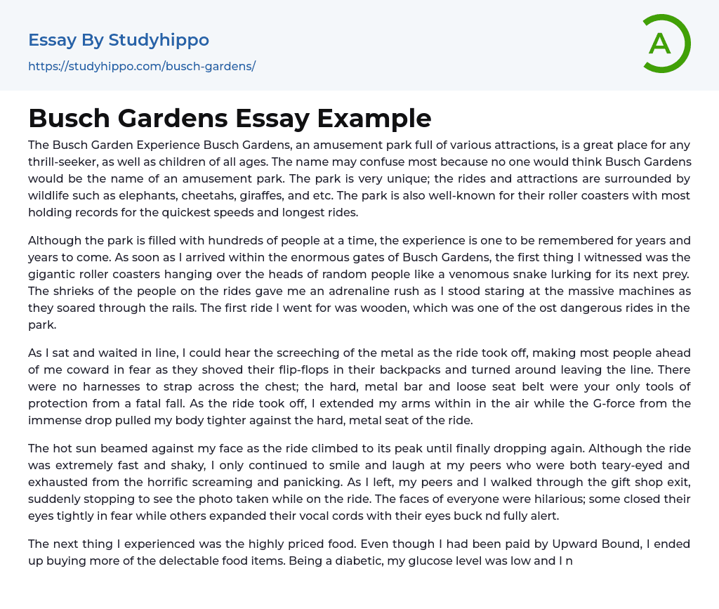 Busch Gardens Essay Example