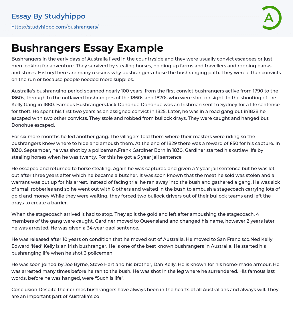 Bushrangers Essay Example