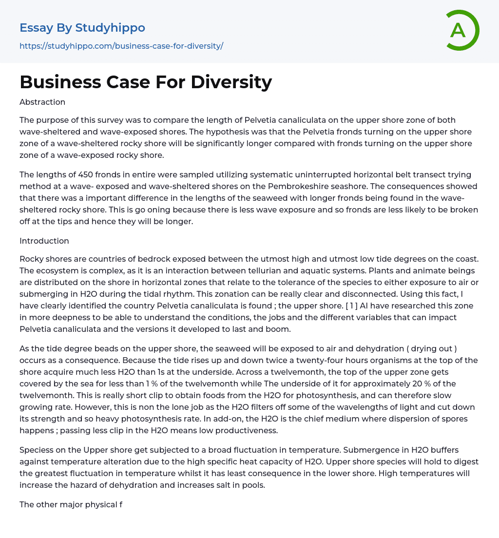 Business Case For Diversity Essay Example