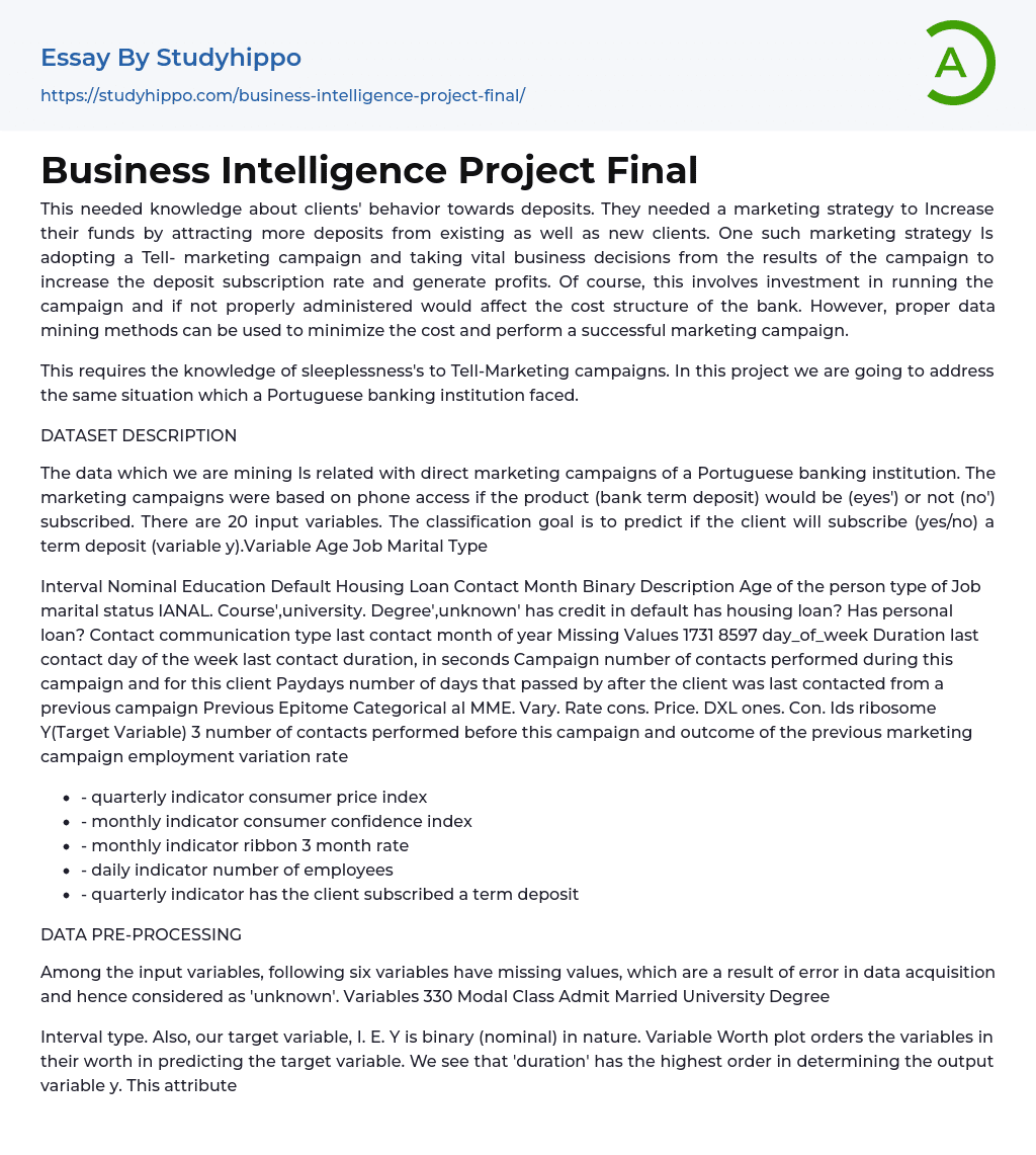 Business Intelligence Project Final Essay Example