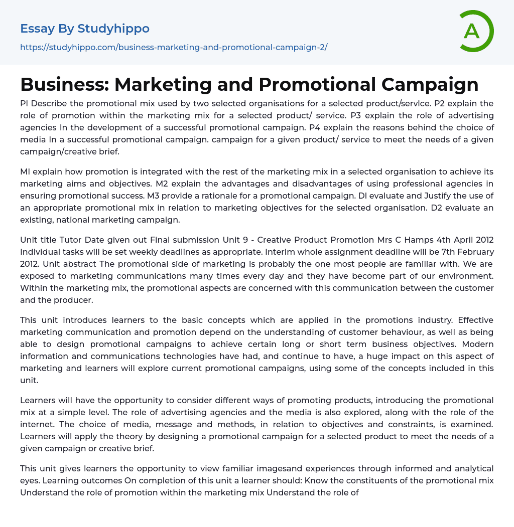 Business: Marketing and Promotional Campaign Essay Example