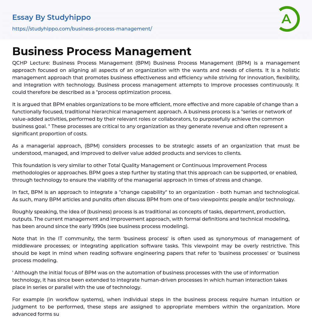 Business Process Management Essay Example