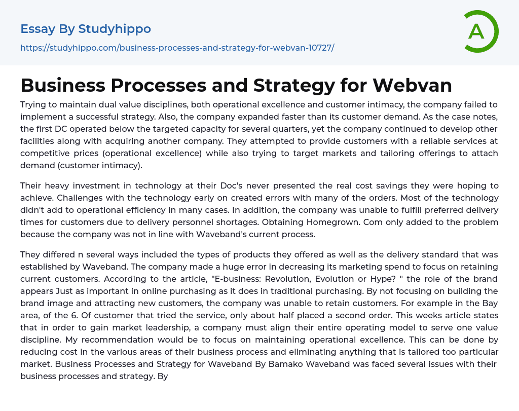 Business Processes and Strategy for Webvan Essay Example