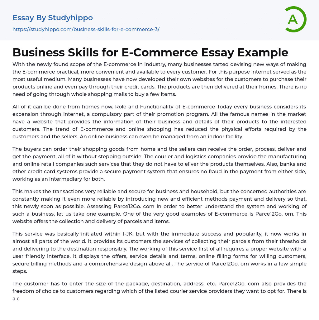 Business Skills for E-Commerce Essay Example