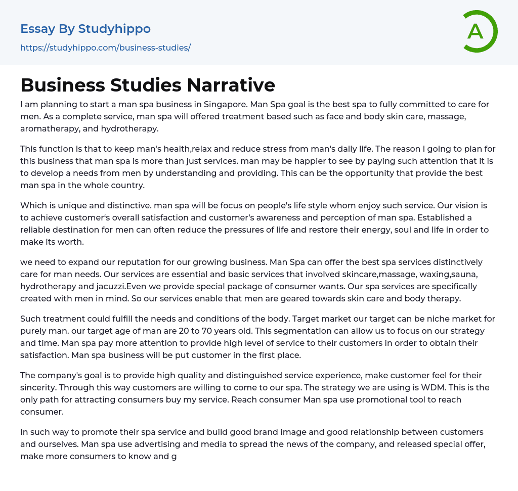 Business Studies Narrative Essay Example