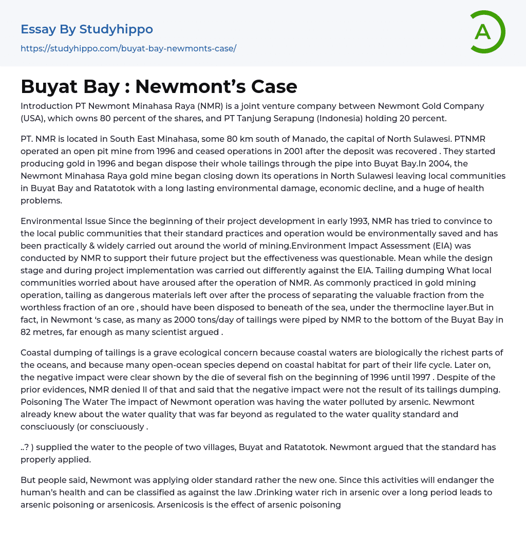 Buyat Bay : Newmont’s Case Essay Example