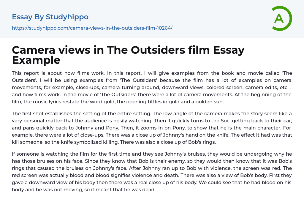 Camera views in The Outsiders film Essay Example