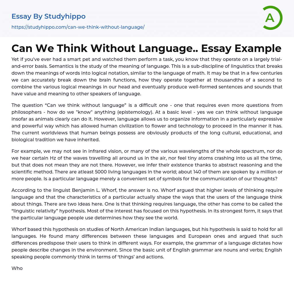 Can We Think Without Language.. Essay Example