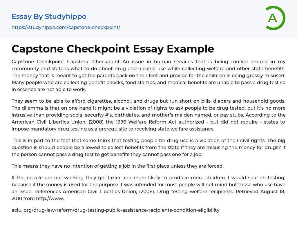 Capstone Checkpoint Essay Example