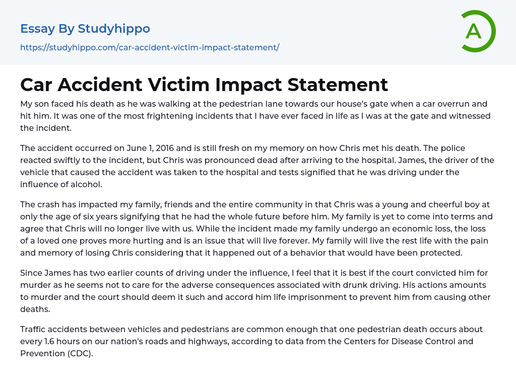 Car Accident Victim Impact Statement Essay Example StudyHippo